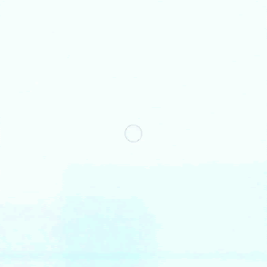 *A circle that only grows, never shrinks. It’s a discontinuous animation!*